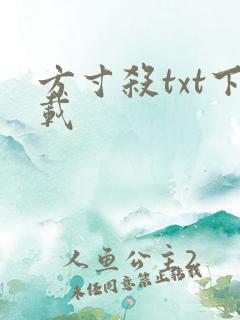 方寸杀txt下载