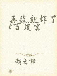 再苏就炸了txt百度云