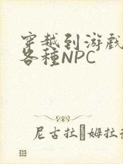 穿越到游戏里和各种NPC