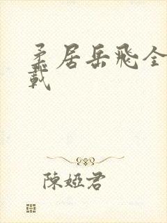 柔居岳飞全传下载