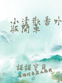 小清欢番外完整版开车