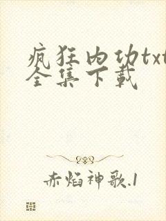 疯狂内功txt全集下载