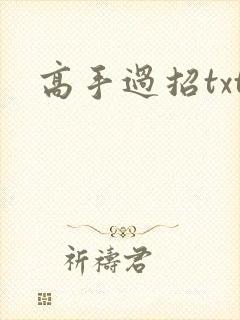 高手过招txt