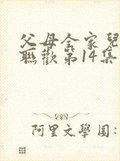 父母全家儿女大联欢第14集