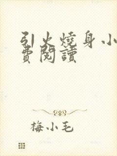 引火烧身小说免费阅读