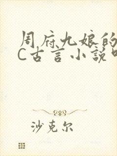 周府九娘的NPC古言小说叫什么