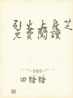 引火上身芝麻糖免费阅读