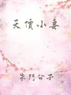 天价小妻