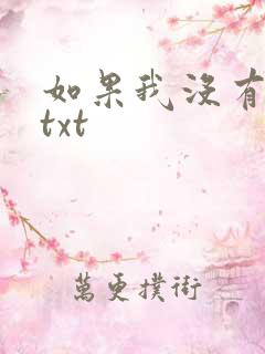 如果我没有爱过txt