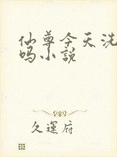 仙尊今天洗白了吗小说