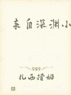 来自深渊小说