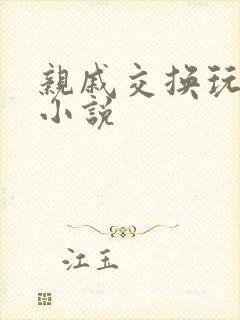 亲戚交换玩美妇小说