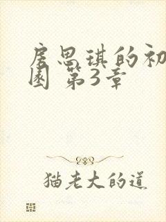 房思琪的初恋乐园 第3章