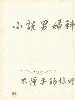 小说男妇科医生