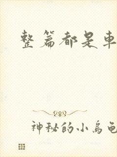 整篇都是车的肉