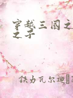 穿越三国之袁绍之子