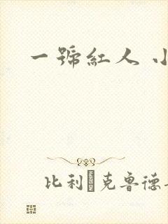一号红人 小说
