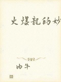 火爆龙的妙管家