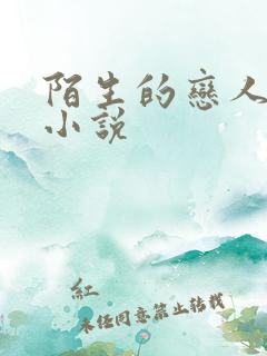 陌生的恋人原著小说