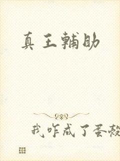 真王辅助