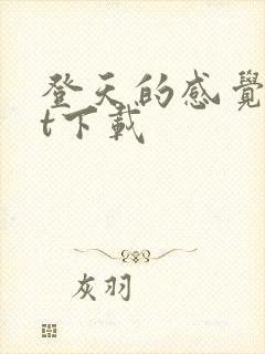 登天的感觉txt下载