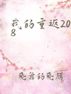 我的重返2008