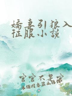 娇妻引狼入室被征服小说