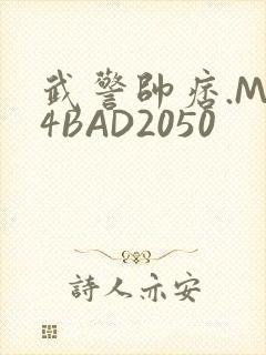 武警帅痞.MP4BAD2050