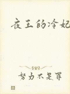 夜王的冷妃