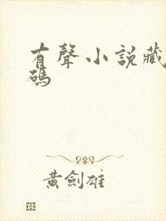 有声小说藏地密码