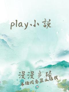 play小说