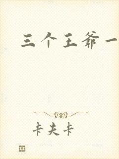 三个王爷一个妃