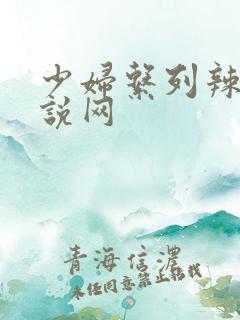 少妇系列辣文小说网