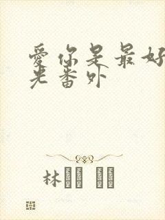 爱你是最好的时光番外