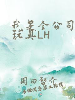 我是全公司发泄玩具LH