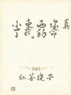 小东西你真能要了我的命