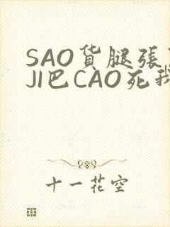 SAO货腿张开JI巴CAO死我