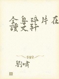 全息碎片在线阅读文轩