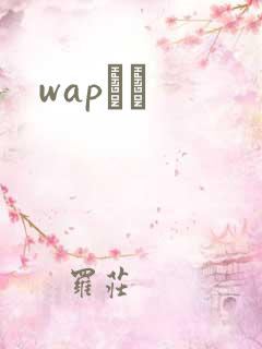 wapС˵