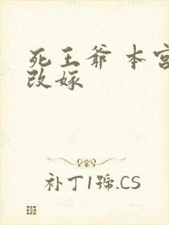 死王爷 本宫已改嫁
