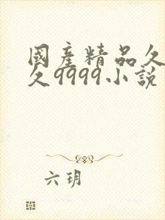 国产精品久久久久9999小说