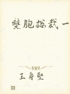 双胞总裁一个妻