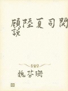 顾陆夏司闵郁小说