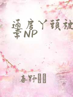 通房丫头被肉日常NP
