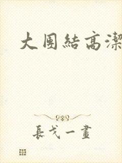 大团结高洁