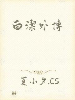 白洁外传
