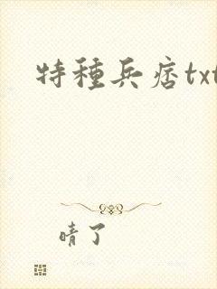 特种兵痞txt
