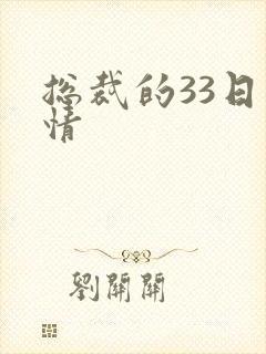 总裁的33日索情