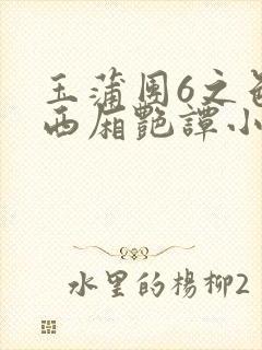 玉蒲团6之色情西厢艳谭小说