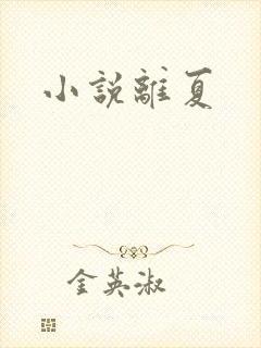 小说离夏